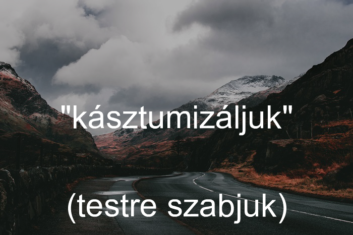 Magyarizált szavak és kifejezések (@magyarizalt) on Twitter photo 