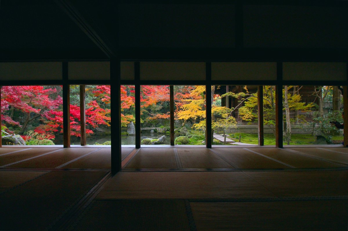 Japan_In_Image's tweet photo. Rengeji temple fall colors🍁🍂
It is distinguished in not only being old but also being both a Buddhist and Shinto temple which is a much, much smaller subset.
📷Chitaka45
#japan #japantravel #rengeji #Autumn https://t.co/rkmuiIAVY8