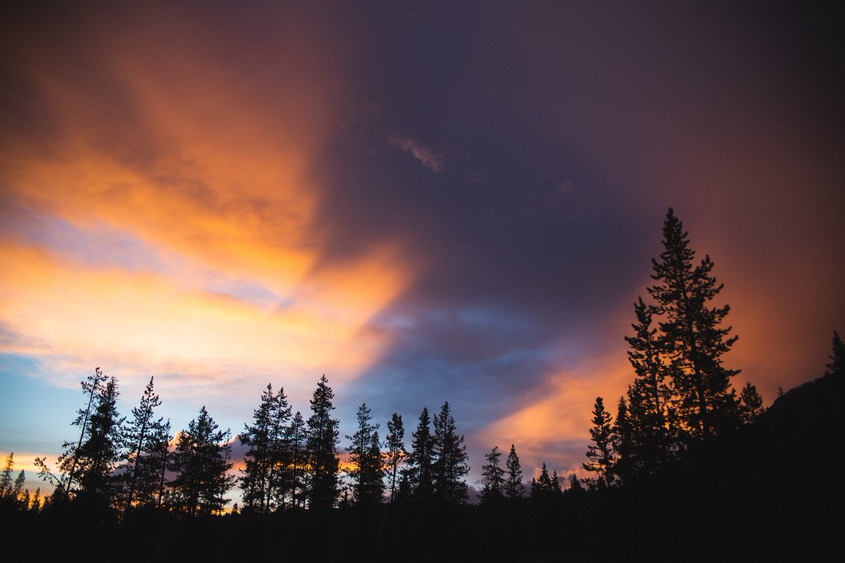 CapturedPicTime's tweet photo. 🌲🌄🌲
📷https://t.co/sVdvsoIEdM
#photography #nature #sunset #clouds #landscape #sky https://t.co/pkT8UFQDpf