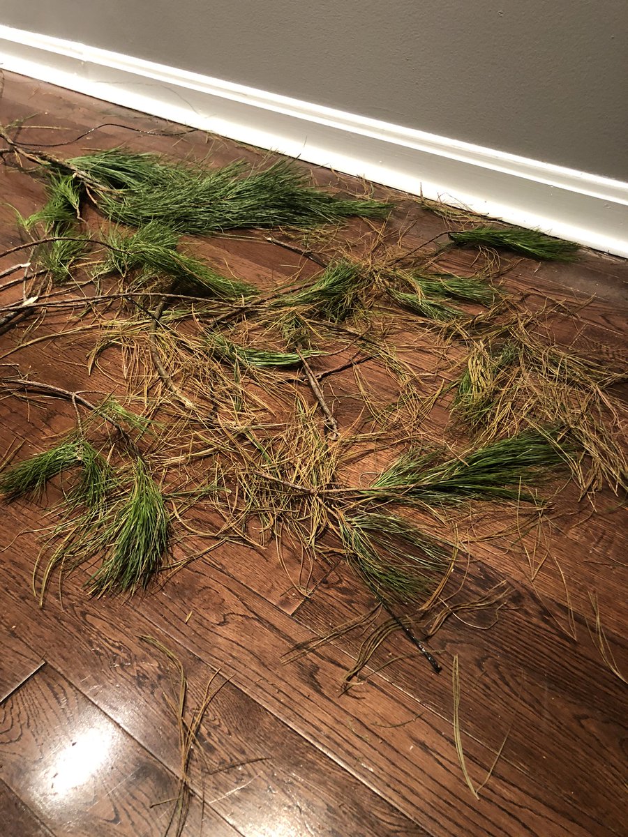 moGoodz's tweet image. My floor after attempting to hang my @HomeDepot garland 😩 I had to pull off so many dead needles and now my garland looks so sad.  Looks like we’ll be checking out @Lowes next year