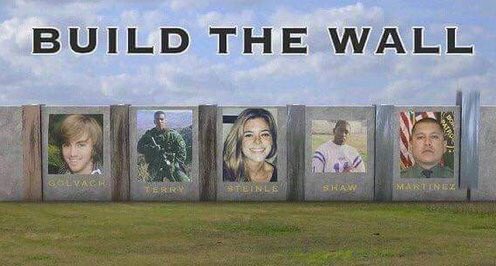 Jay_MoneyPenni's tweet photo. @ReneeHartsock #KatesLaw #KatesWall #AmericaFirst #BuildTheWall https://t.co/Ina8eiPGnw