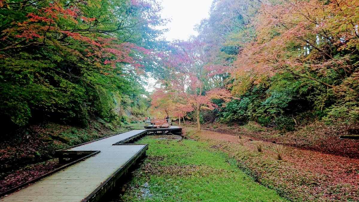 ট ইট র きみプロ 君津市の亀山地域は 関東で一番遅い紅葉 が見られる場所だよ 清水渓流広場は 濃溝の滝 で有名だけど 隣接する遊歩道もリラックスできていいですねd ট ইট র きみプロ 君津市の亀山地域は 関東で一番遅い紅葉 が見られる場所だよ 清水渓流広場は 濃溝の滝 で有名だけど 隣接する遊歩道もリラックスできていいですねd