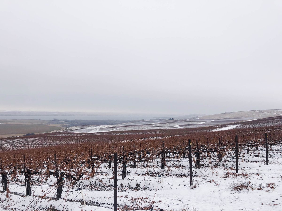 It’s beginning to look a lot like the holidays! First snowfall of the year at Canoe Ridge Estate Vineyard. ❄️