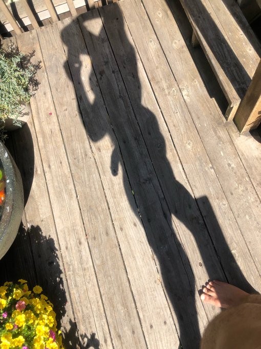 Sexy shadow https://t.co/TNBziHurLG<a href="/tag/jessiecolter"class="tags"><span>#jessiecolter</span></a><a href="/tag/jessiecolterxxx"class="tags"><span>#jessiecolterxxx</span></a>