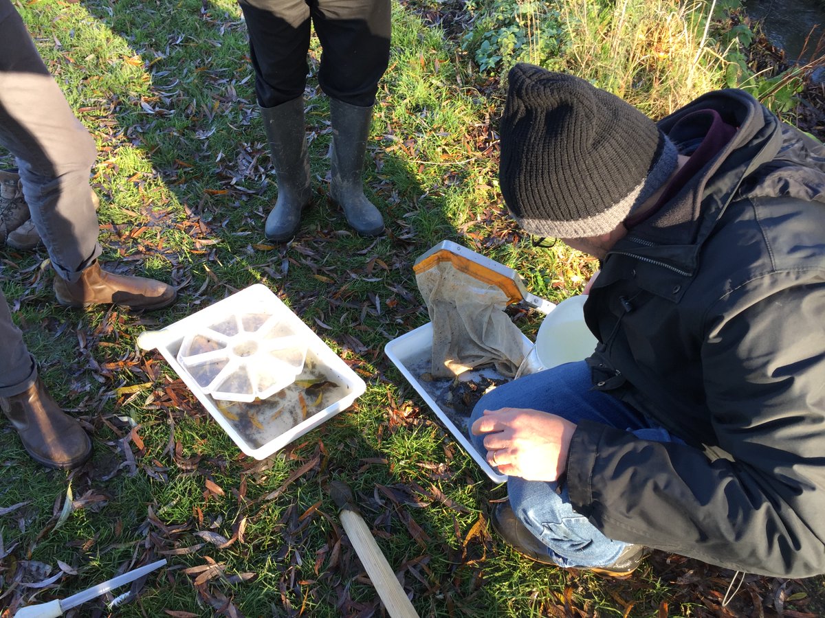 CVP_CraneValley's tweet image. A Citizen Crane team carrying out some riverfly monitoring on the Yeading Brook East at Newton Park in the London Borough of Harrow today. Great weather for it! @OfficialZSL @FriendsRivCrane @frogenv