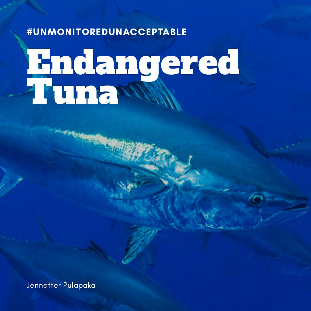 DeLandPodiatry's tweet photo. Sustainable tuna? There’s a catch. Many industrial tuna fisheries are not monitored at sea and an unmonitored fishery cannot be considered a sustainable fishery. Join the call for 100% observer coverage in industrial tuna fisheries https://t.co/Dj7GtE6SEW #UnmonitoredUnacceptable https://t.co/Q6hFLD0S9t