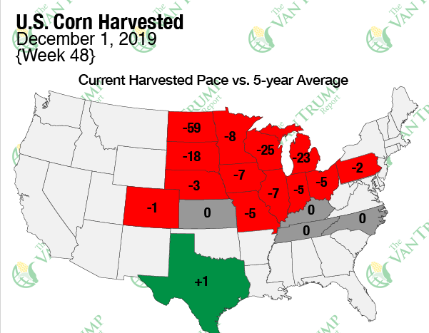 KevinVanTrump's tweet photo. Prayers for the folks up north... they are really struggling. 

Low test weight, bad FM, weak basis. 

Hearing they are going to let it stand in their "on-farm-storage" aka in the field for the winter 

Not good. https://t.co/0I7PMwCFJp