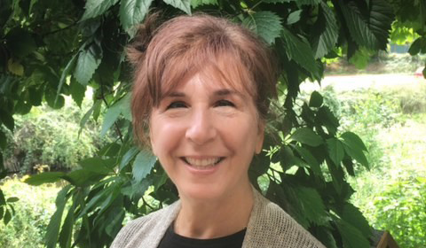 Pardee School of Global Studies, Boston University tweet media