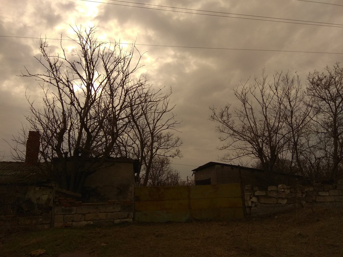 Русалка в трусах (@di_nech) on Twitter photo 