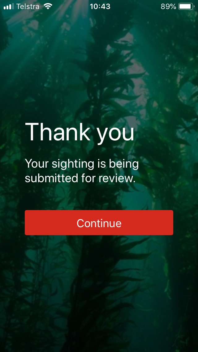 IMAS (@imasutas) on Twitter photo Fishers & boaties urged to help IMAS <a href="/UTAS_/">University of Tasmania</a> scientists save #Tasmania's disappearing giant kelp forests by logging sightings of giant kelp through new phone app. Data collected via Kelp Tracker app will support map & restoration work for remaining forests bit.ly/381DQ8D Fishers & boaties urged to help IMAS <a href="/UTAS_/">University of Tasmania</a> scientists save #Tasmania's disappearing giant kelp forests by logging sightings of giant kelp through new phone app. Data collected via Kelp Tracker app will support map & restoration work for remaining forests bit.ly/381DQ8D