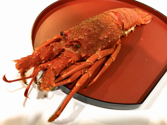 Tbsラジオショッピングのtwitterイラスト検索結果