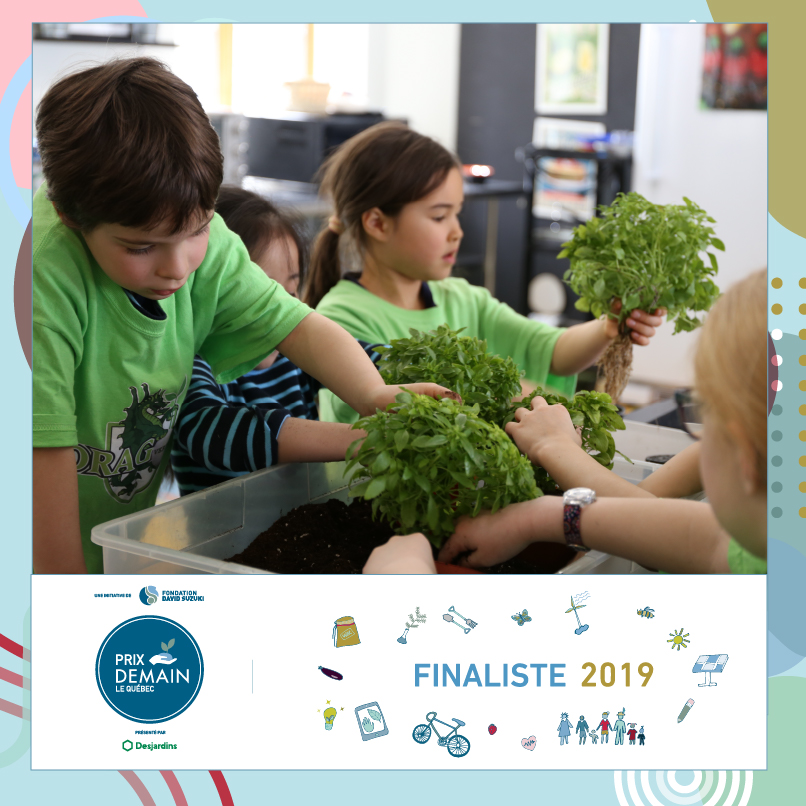ProfVertaline's tweet photo. Votez pour l'Académie Sainte-Anne! Plus de projets verts dans toutes les écoles du Québec! #davidsuzuki #prixdemainlequebec #academiesainteanne #projetsverts #aquaponie #hydroponie #potager #ecoleautosuffisante https://t.co/dTvcdCxnZz https://t.co/x8leo9Sdjw