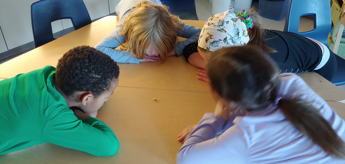 spritch2's tweet photo. From determining what it was to getting dirty and planting that very seed, our grade 1 students @Beachburg_PS are learning the difference between living and non-living things!
#BeachburgPSLearning
#BeachburgScience https://t.co/4pp65c4Jf4