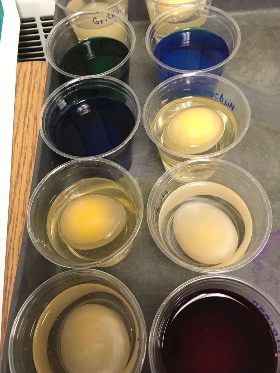 Mrs. C. Campbell tweet media