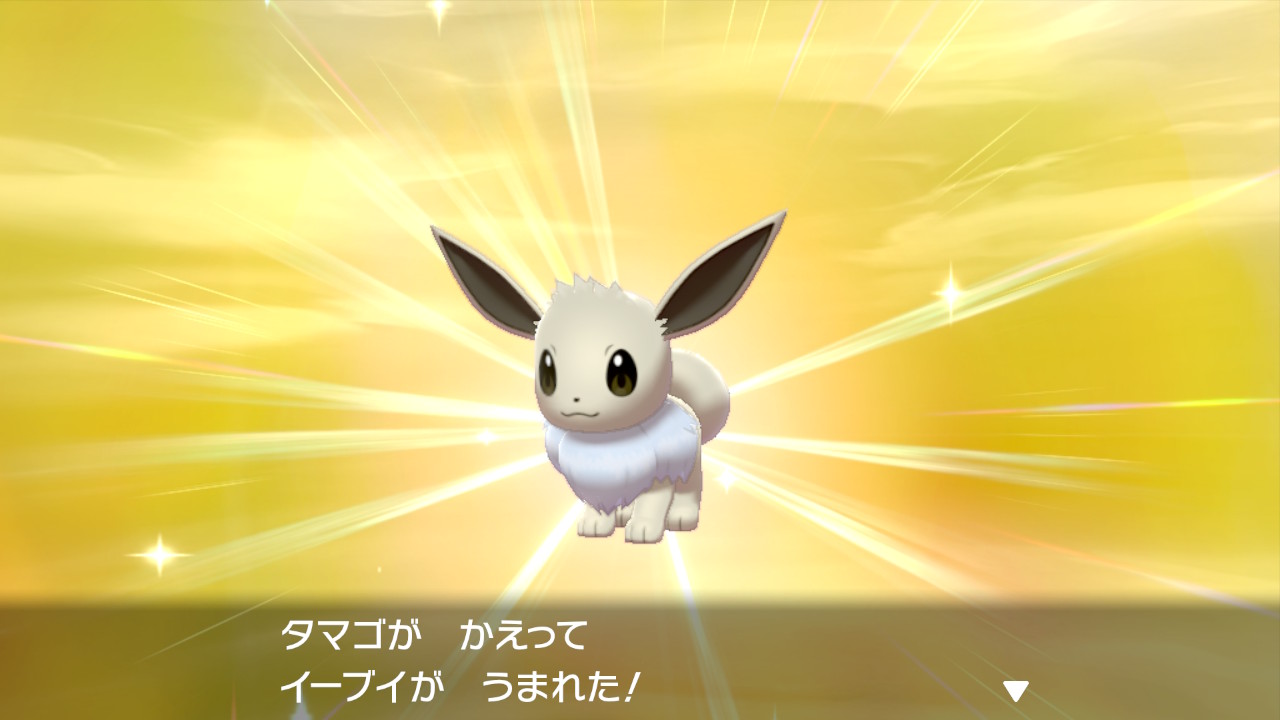 Eve Pokemon ニンサザ色違いできた 性別は逆だけど イーブイ色違いが夢できてくれたのが よかった かわいすぎる ポケモン剣盾 T Co D5zigdqzrv Twitter