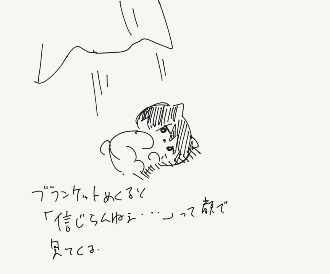 最近もこもこしたキクティが多くて可愛いんじゃ 