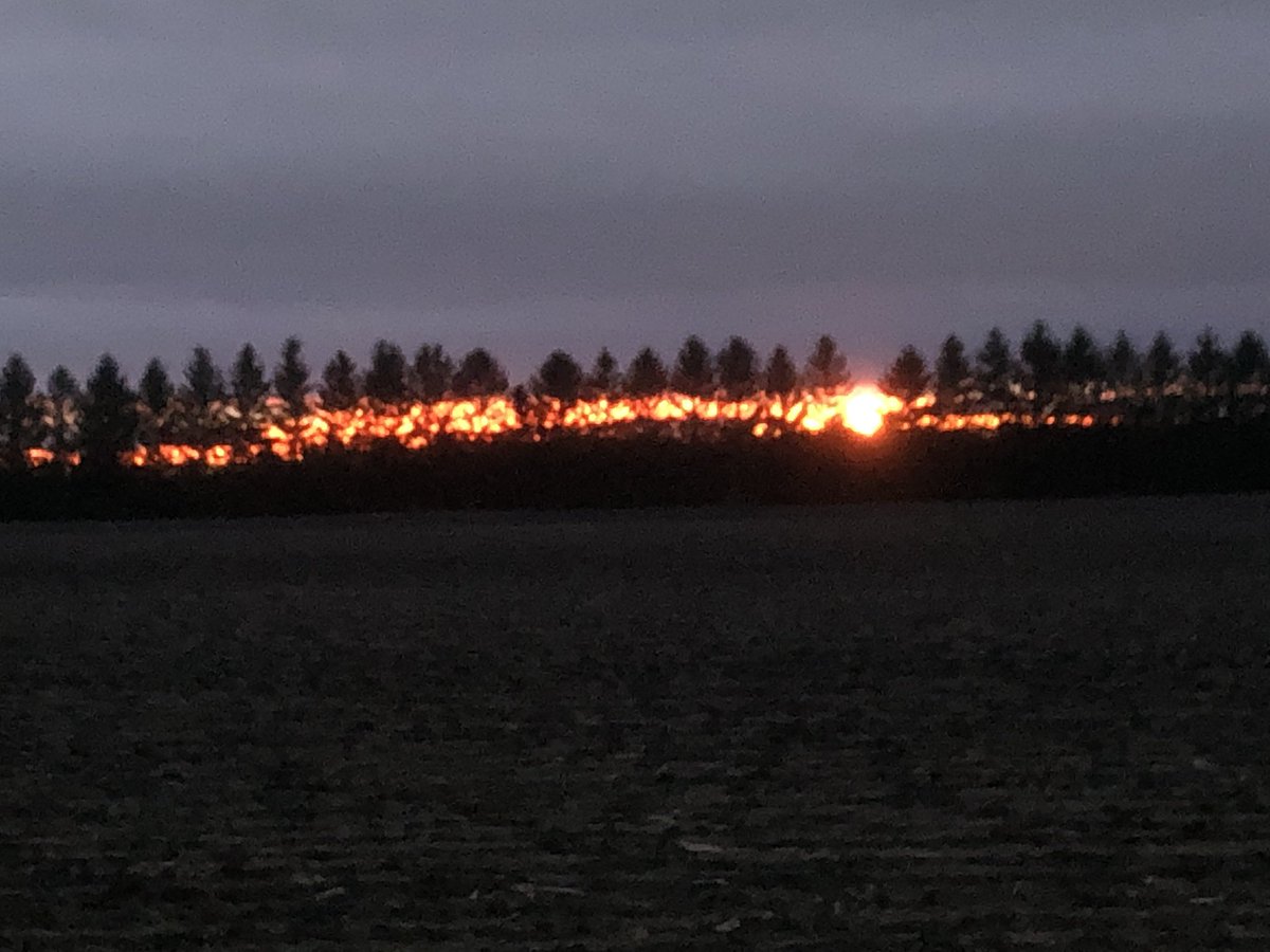 Eastkentnotill's tweet photo. Looks like my windbreak is on fire. #sunset https://t.co/kDp5RwTscd
