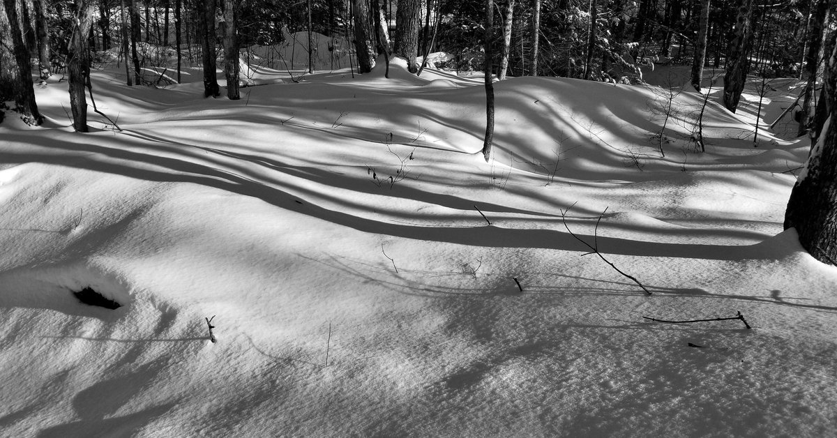 junekrisko's tweet photo. Tree shadows...love them❤️. Oh wait maybe they're snow waves...
.
.
.
#haliburton #haliburtonlife #myhaliburton #myhaliburtonhighlands #onhighlands #snapseed #samsungs8plusphotography #snowwaves #junekriskoartist https://t.co/jJDI0ud6OF