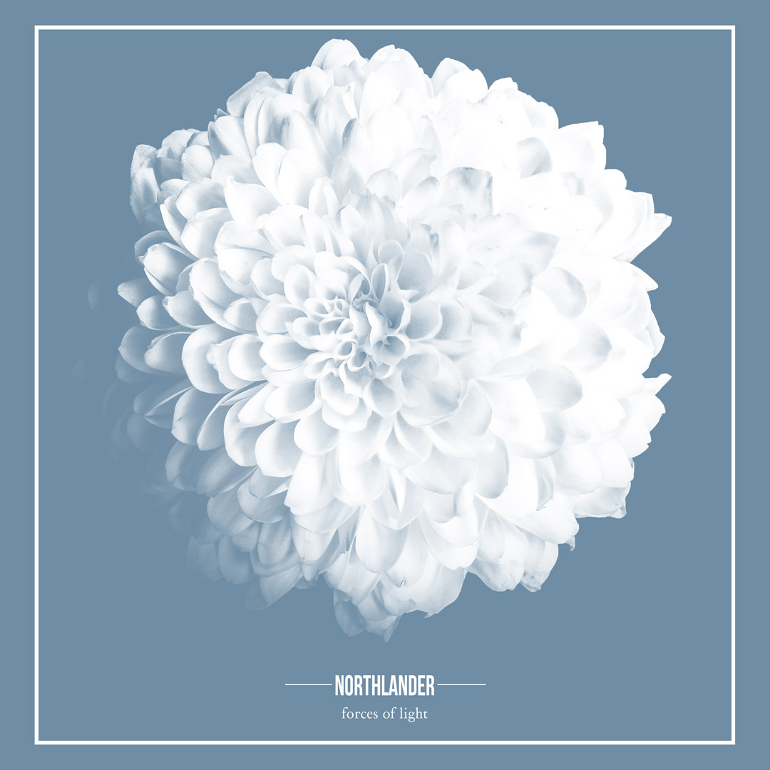 Get sale pricing on our three newest albums- <a href="/nothinglefthc/">Nothing Left</a>, <a href="/wwdisband/">What We Do In Secret</a>, and Northlander- today and tomorrow only!
facedown.merchnow.com