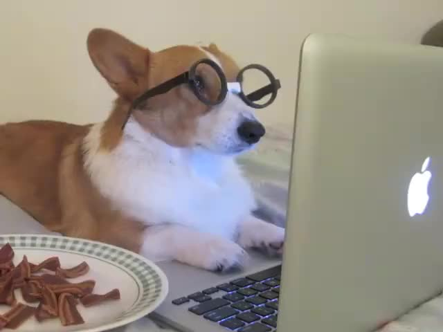 LupinMP4's tweet photo. Me logging into League to see I've been perma banned again and reading the logs https://t.co/9e1i16Wz6v