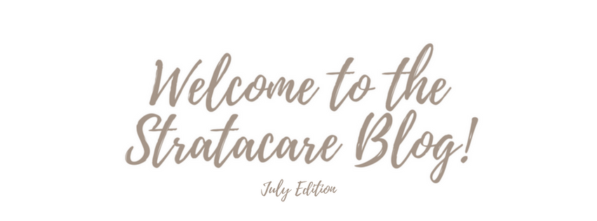 StratacareA's tweet photo. Stratacare Blog - December 2019 Edition - https://t.co/Boq9C5pqrC https://t.co/jCB8uyyrQr