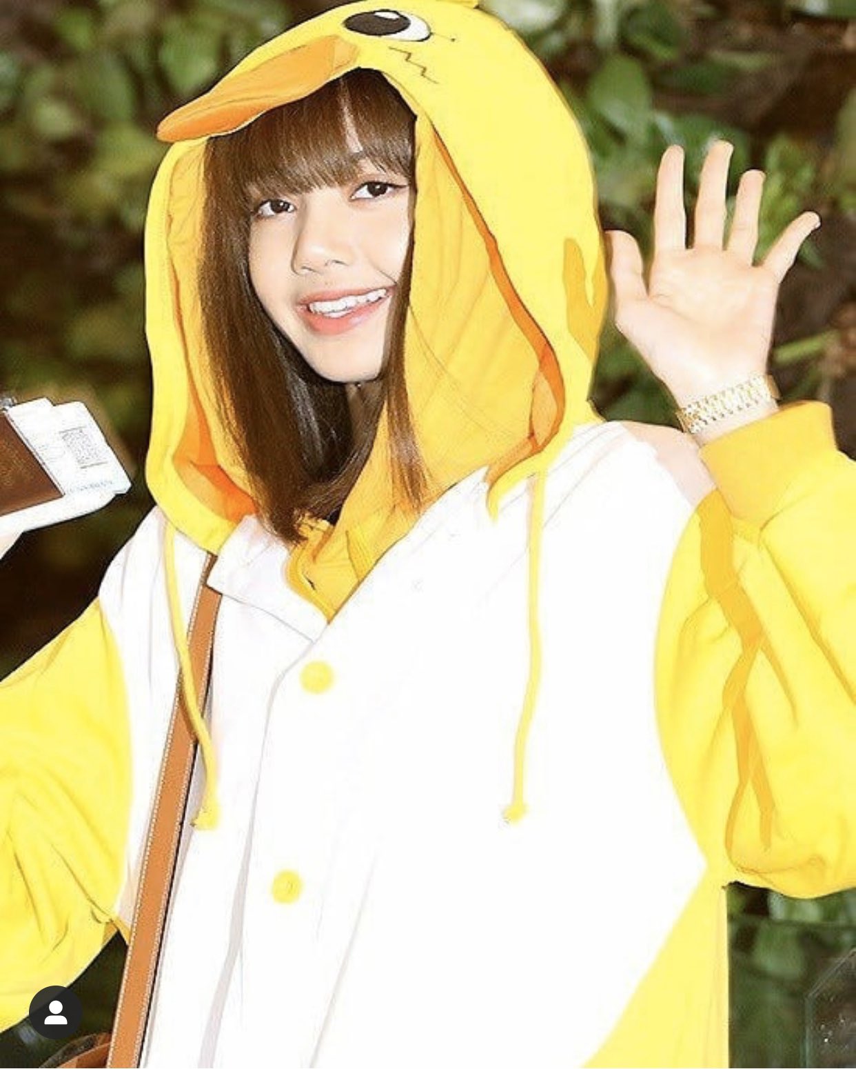 HumanDoll on X The best outfit for our crackhead Lisa the Duck and Jisoo the Rabbit LALISA LISA JISOO lisoo BLACKPINK ygofficialblink https t 3gm1G7mu95 X