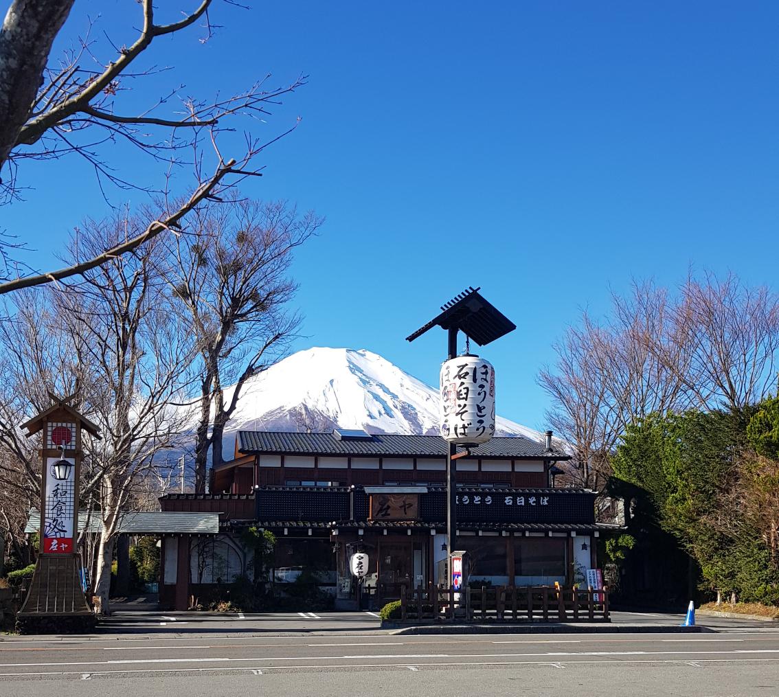 rain_fuyu's tweet image. (  ˃̶͈ ᴗ ˂̶͈  )♡