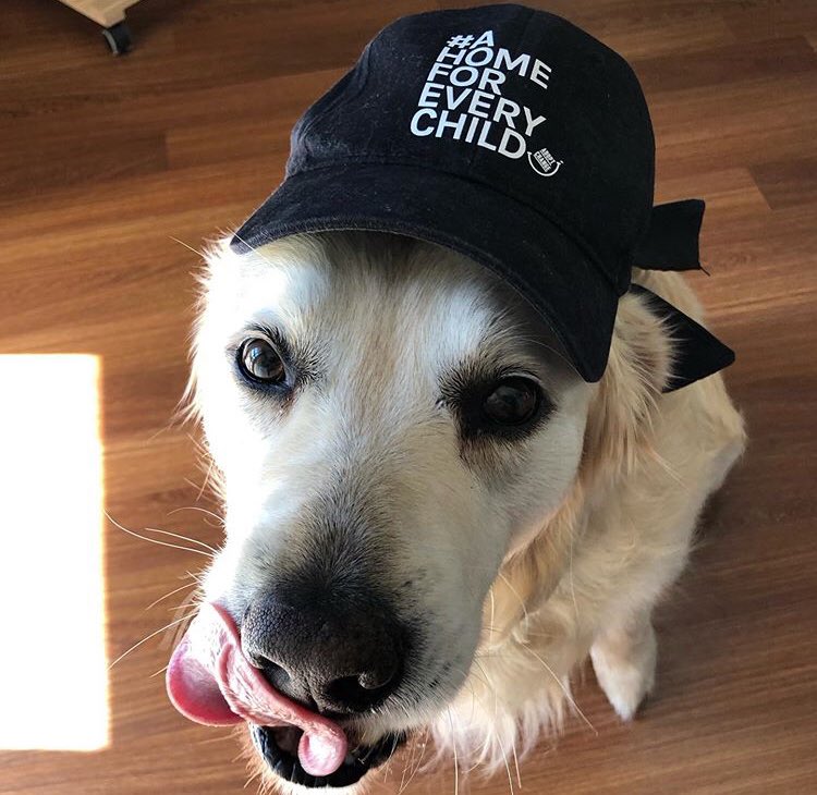 Our vision of #ahomeforeverychild stretches across the globe thanks to Tiffany, Halley & even to Fur-Children like Wally! Wear&Share your #GrowLearnPlayThrive Tee before Fri 7/12 to enter the draw for: Event Cinema Family Pass (2 Adults & 2 children) & $50 CandyBar voucher. 🎫 🎄