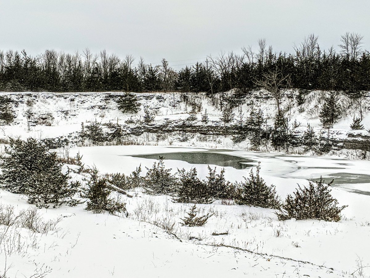 MmeScott08's tweet photo. Some snowday fun.  Students from grades 3-6 had a chance to snowshoe in the quarry. @BaysidePublic. 
Thanks to @dnieuwenhof, Ms. Deveau, and Ms. Eybel for leading the way on our  walk. #outdoorfun #beautiful https://t.co/7YnZbtm6SQ