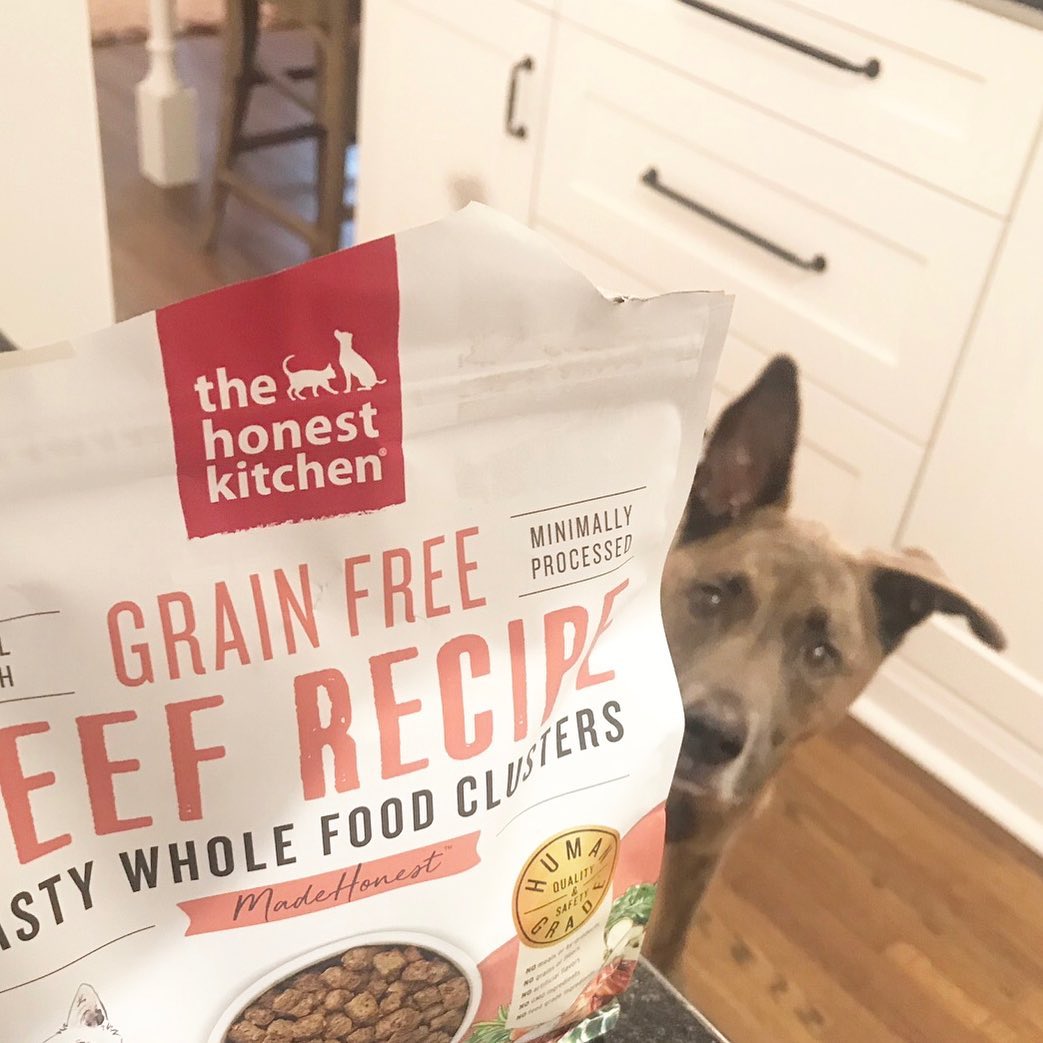 honestkitchen's tweet photo. Eyes on the prize! 👀
📷: @stoli_the_brindle_pit
#honestkitchen #thk #healthydogfood #healthydog #dogfood #humangrade #dogtreats #foodfordogs #wholefoodclusters #humangradedogfood https://t.co/lrK78Hw0Hr