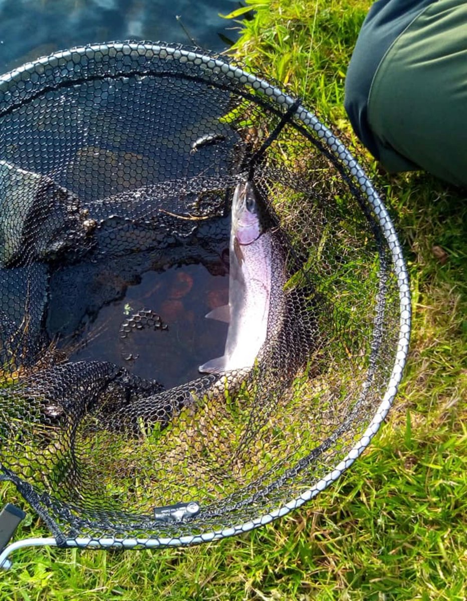 Skelmorlie Fishery 🏴 tweet media