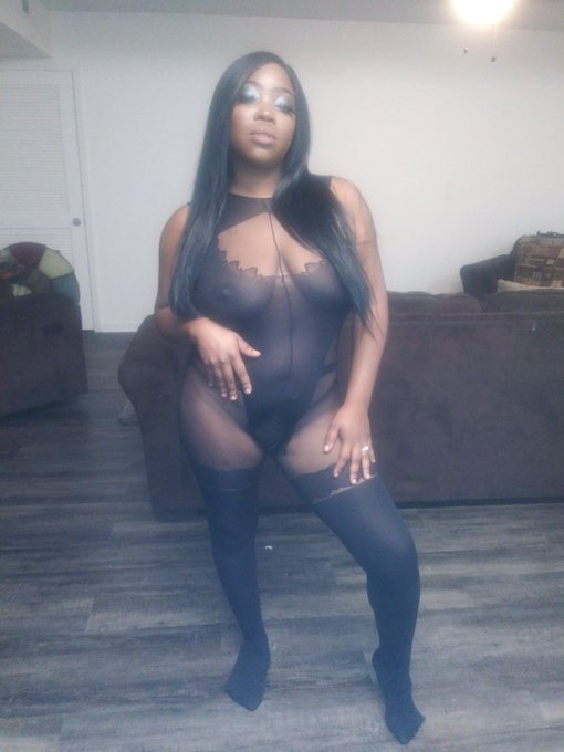 Black 🐱 🐱 🐱 Like, Comment and Follow... https://t.co/CGBCy6JQhM