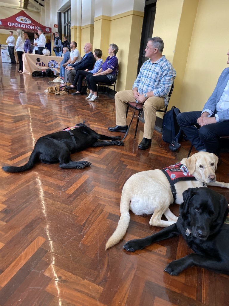 Wellbeing_au's tweet photo. Dogs galore at #RSB #OPK9 Graduation Day https://t.co/GSLnCjECKD