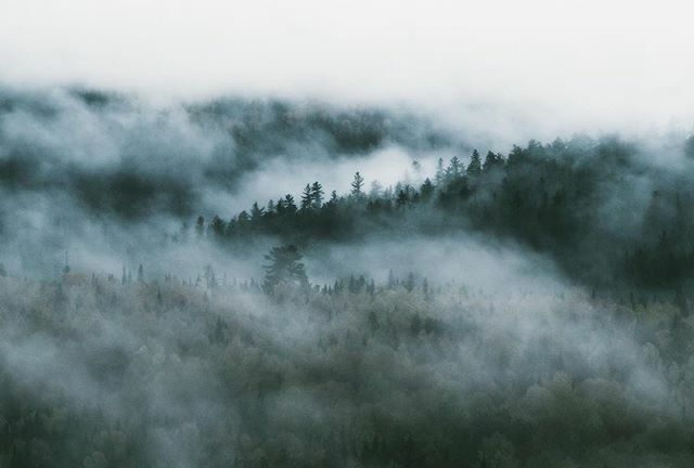 NoiseNb's tweet image. From @christinebernardphoto — Foggy forest of Northern NB
.
.
.
. #explorenb #noisenb #moodyforest #fog #foggymorning #landscapephotography #landscapeoftheday #explorecanada #canada #newbrunswick ift.tt/2Y8xPml