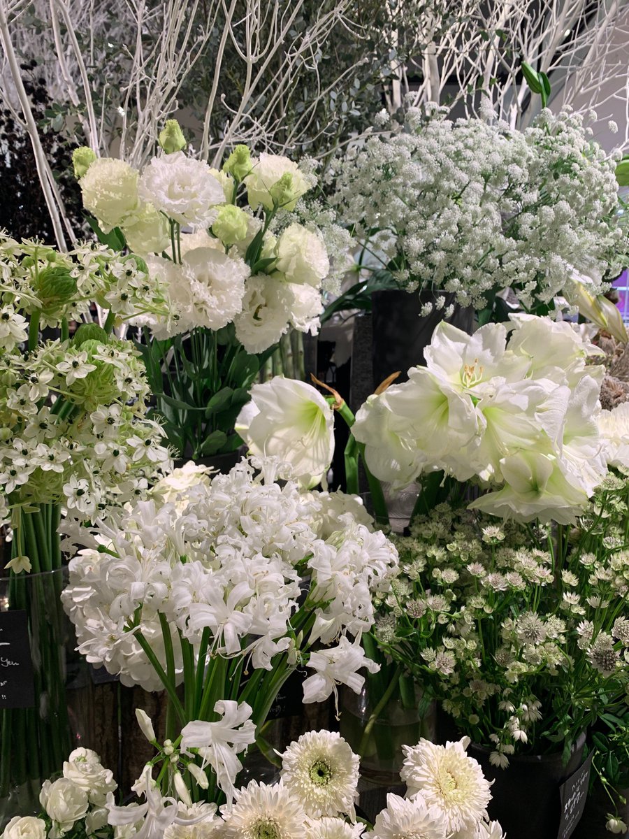 花時間 街の花屋さんでのワンシーン この時期 白い花が似合いますね 白と黒のストライプのラッピングが格好いい 花屋さん 冬の白 白い花 花ラッピング クリスマス ギフト