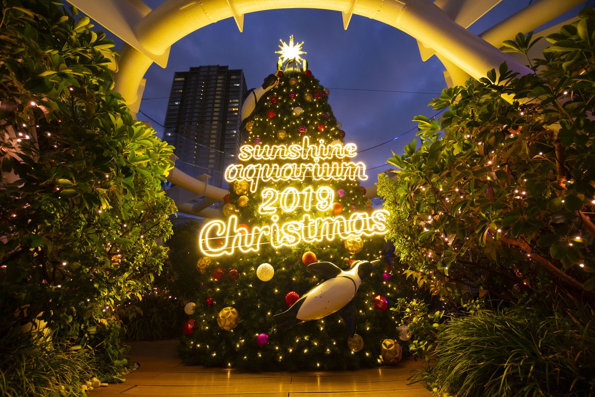 DoCLASSE tweet media