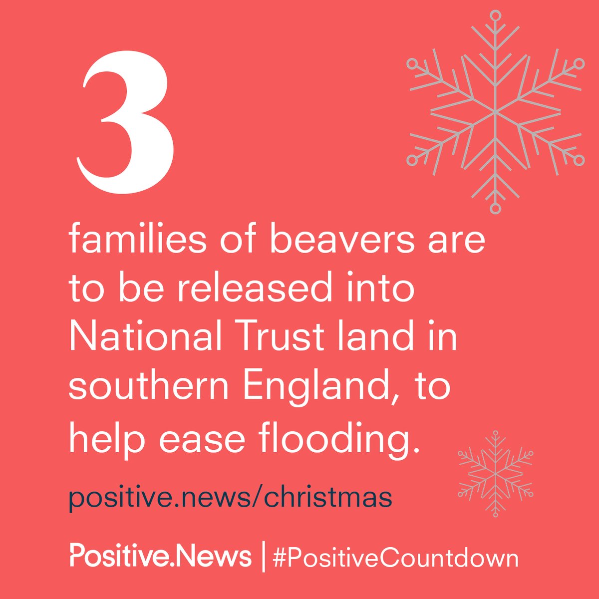 A conservation success story features in today's #PositiveCountdown. Give the most uplifting gift, and inspire family and friends this Christmas with a Positive News gift subscription positive.news/christmas