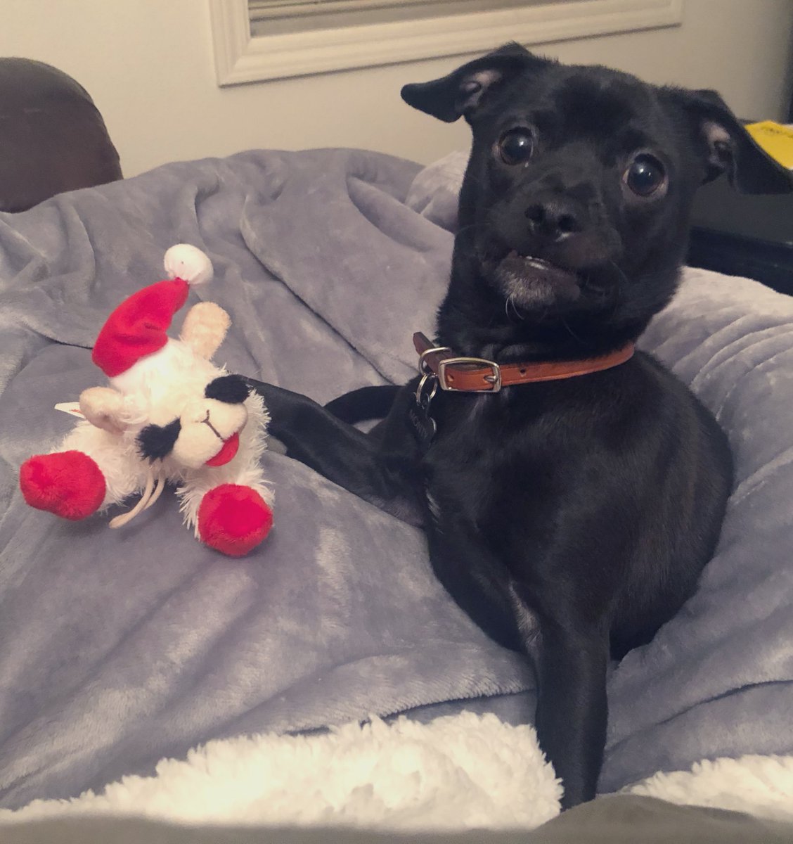 Brenna McGill tweet media