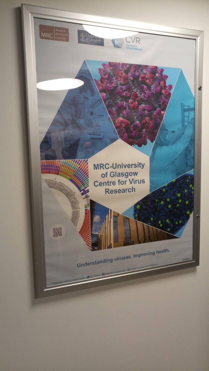 Makerere University College of Natural Sciences tweet media