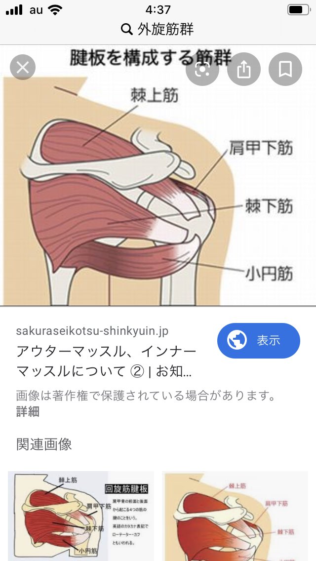ツイストボクシング研究所 ボクシング ブルース リー の肩固め 脇固め ブルース リーのこの形を真似るだけでも抜群のトレーニング 回旋筋板の四種の筋肉を使うが特に棘下筋と小円筋の二つを特に意識し力を込める T Co Mhqpfn4iae Twitter