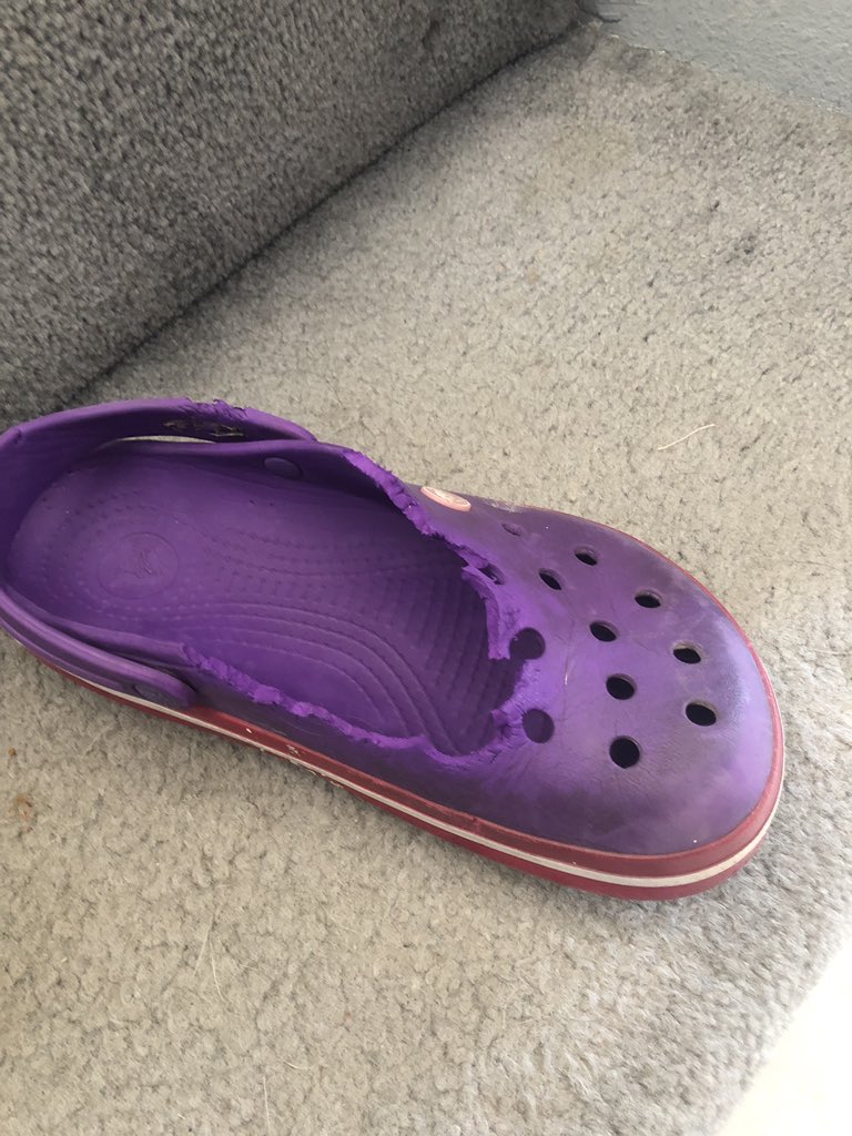 justme1521's tweet photo. #ripcrocs #endofanera @breoba @chocofish246 https://t.co/9BrXkEZYZJ