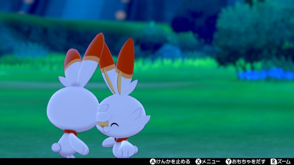 すいすい ヒバニーたち けんかしててもkawaii そしてなかなおりが愛しすぎる ポケモン剣盾 Nintendoswitch すいすい ヒバニーたち けんかしててもkawaii そしてなかなおりが愛しすぎる ポケモン剣盾 Nintendoswitch