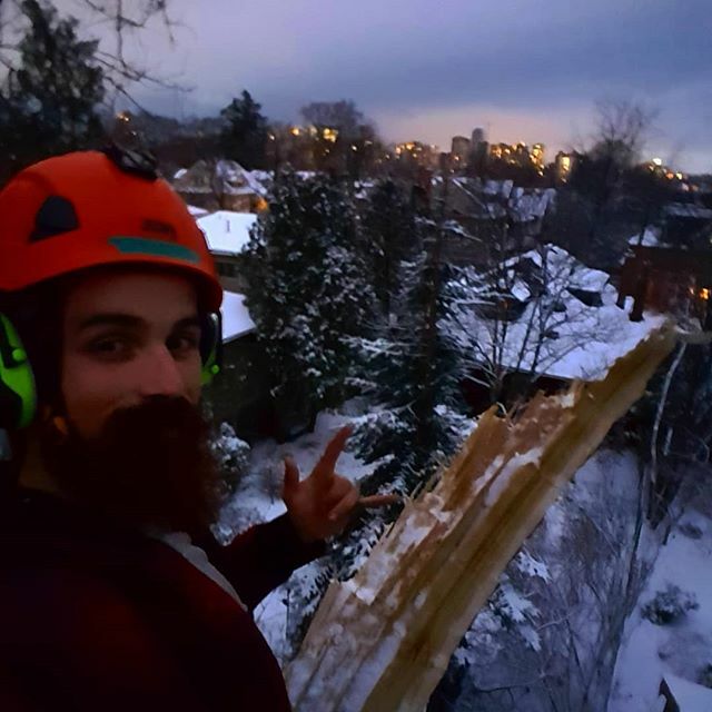 ClaytonGray109's tweet photo. Goodnight #hammertown
Bit of twilight storm damage after that freezing rain. 
#winteriscoming #treework #treeclimbing #arborist #hamont #skyline #ontario https://t.co/BWfyrWlDB2 https://t.co/ty0QufI6VS
