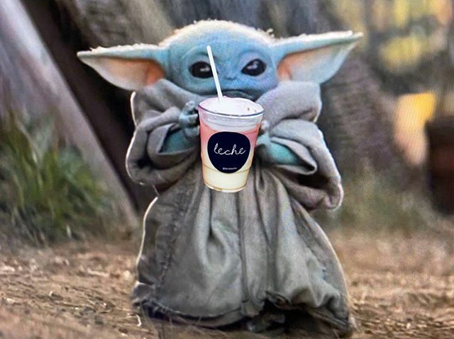 VEGCHELLA's tweet photo. me drinking @drinkleche at desert vegfest this saturday 👽 https://t.co/KwPhubFYLZ