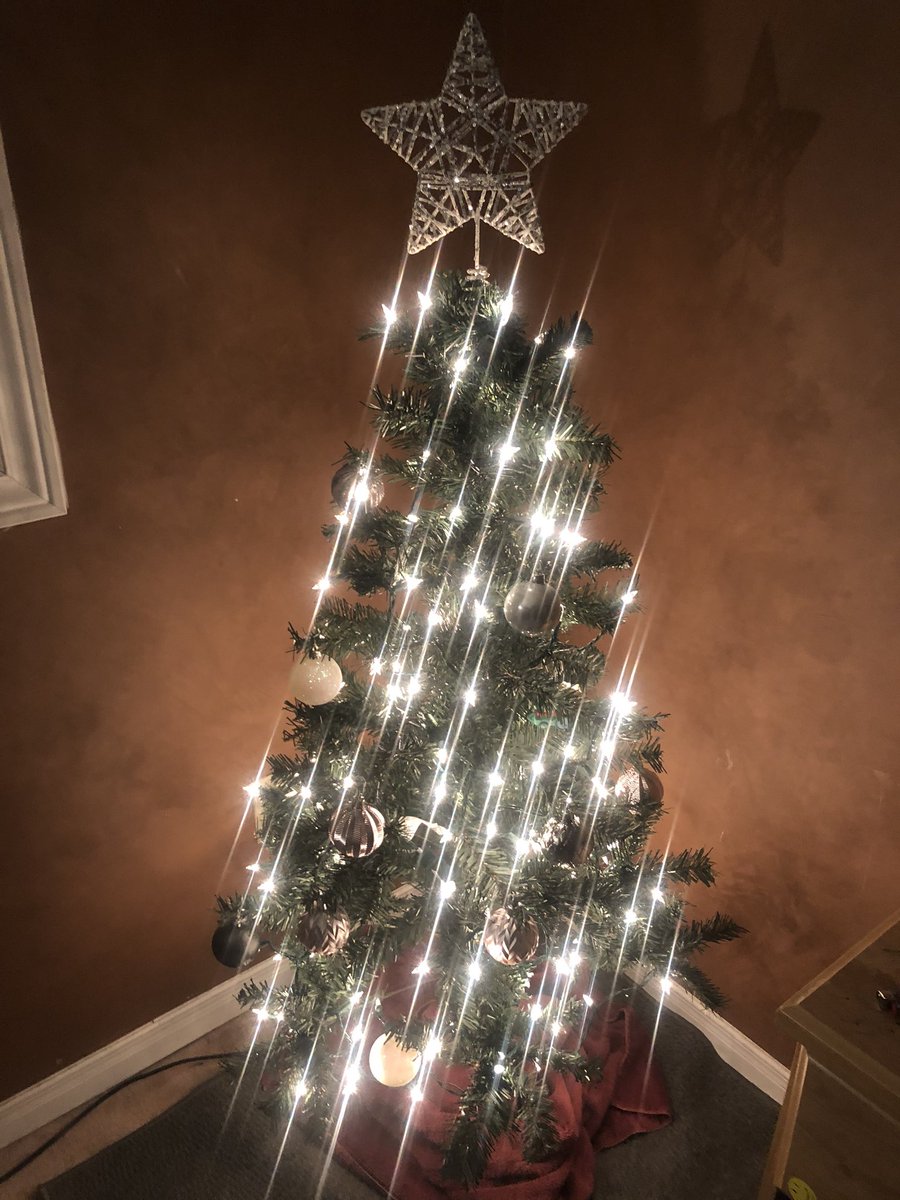 2000lyv's tweet photo. my bby tree 🤩🎄✨ https://t.co/oabgJ85059