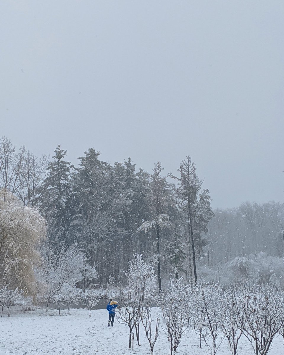 Off to feed his forest friends. 🦌🦃🐇🐿️