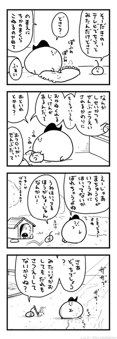 さつえいしゃをだまそうとするまちゅうら 