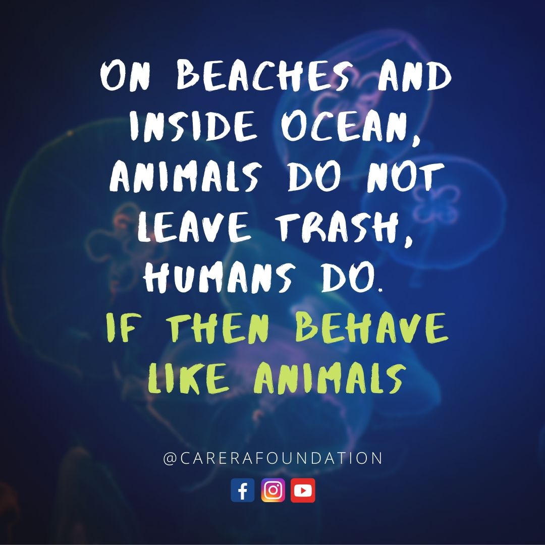 thecarera's tweet photo. On Beaches And Inside Ocen , Animals Do Not Leave Trash , Humans Do. If Then Behave Like Animals.
#carerafoundation #dailyqoutes .
.
.
#instalike #onlineshopping #beaches #andorra #inside #ocean #animalshots #do #dogstagram #notes #leave #trasher #humansofjoy #picoftheday https://t.co/3ntIKbCyMJ
