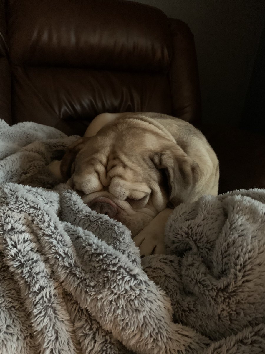 Kayla Lytle tweet media