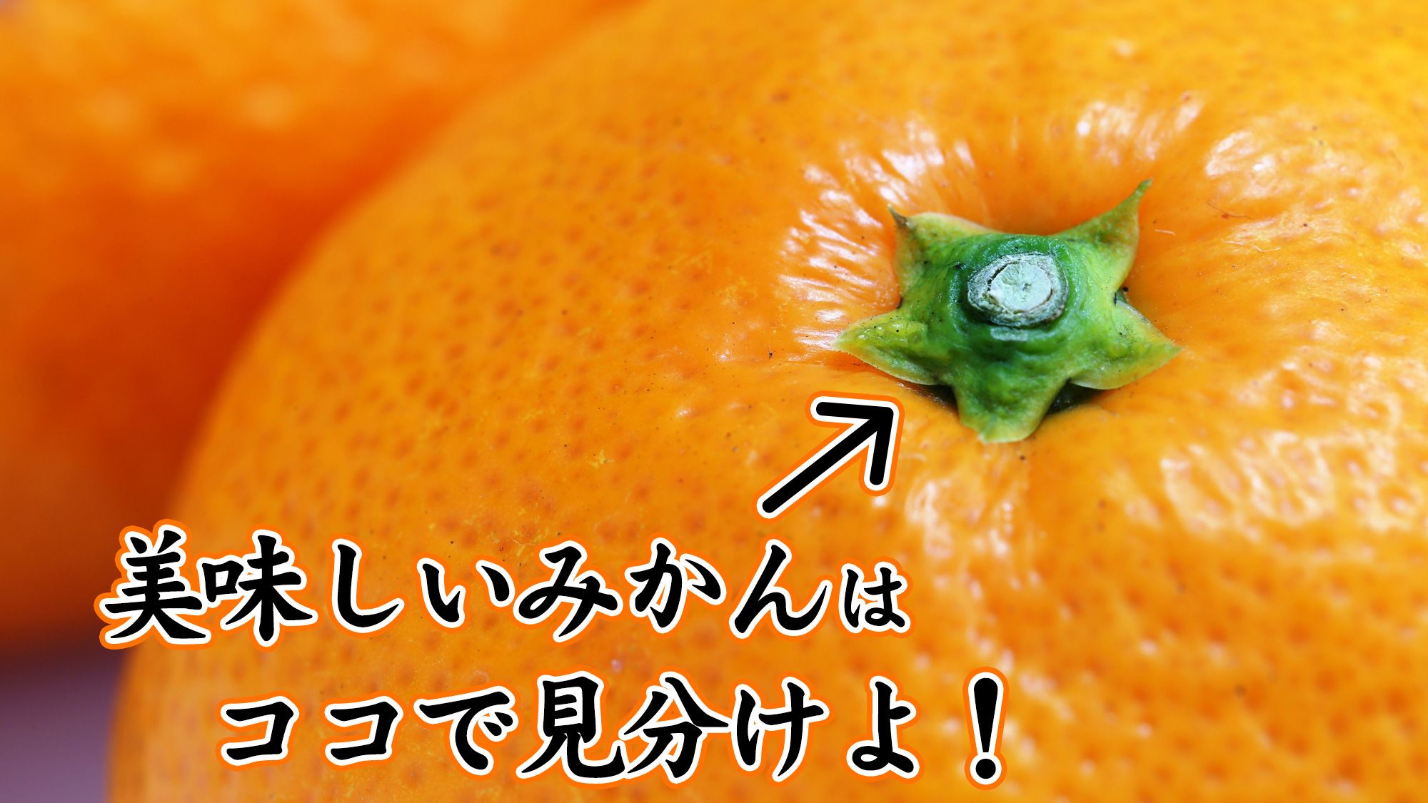 ウェザーニュース 冬の果物の代表といえば みかん 美味しいみかんの見分け方はいろいろありますが その中でも最も簡単かつ確実な方法をご紹介します みかんの日 T Co Hm5rke6t2w T Co 4umssij6s2 Twitter ウェザーニュース 冬の果物の代表といえば みかん 美味しいみかんの見分け方はいろいろありますが その中でも最も簡単かつ確実な方法をご紹介します みかんの日 T Co Hm5rke6t2w T Co 4umssij6s2 Twitter